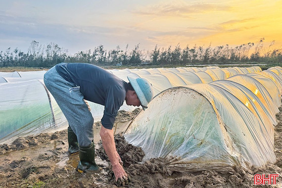 Nilon phủ kín đồng ruộng Hà Tĩnh, nỗi lo “ô nhiễm trắng”