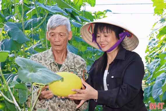 “Vượt” hoang tàn sau bão, nông dân Đức Thọ đón mùa trái ngọt