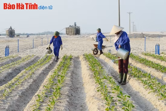 Khoa học công nghệ - đòn bẩy cho sự phát triển của Mitraco Hà Tĩnh ảnh 2