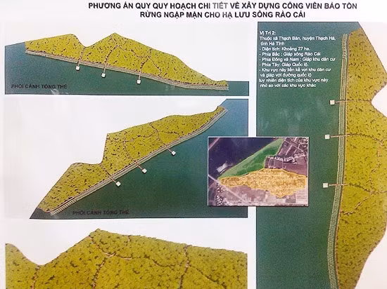 Phát triển rừng ngập mặn phải gắn với quản lý, chống biến đổi khí hậu ảnh 5