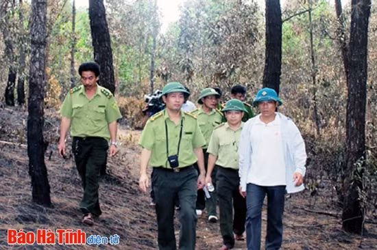 Thực hiện Đề án giao đất, giao rừng: Nguy cơ ”vỡ”” kế hoạch! ảnh 3