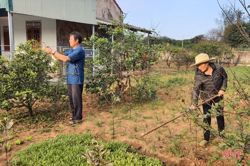 Người dân huyện Kỳ Anh hãnh diện khi được gắn biển “Nhà sạch vườn đẹp”