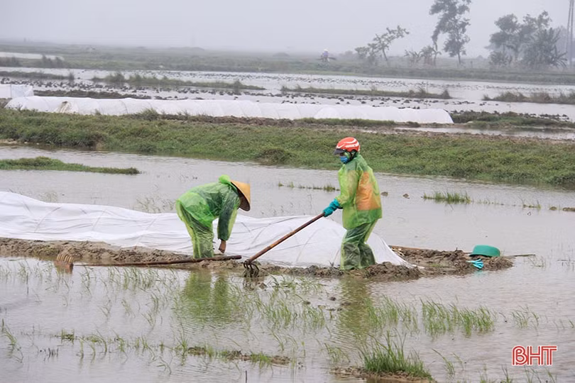 Vượt lên giá rét, người dân Hà Tĩnh nỗ lực duy trì lao động, sản xuất