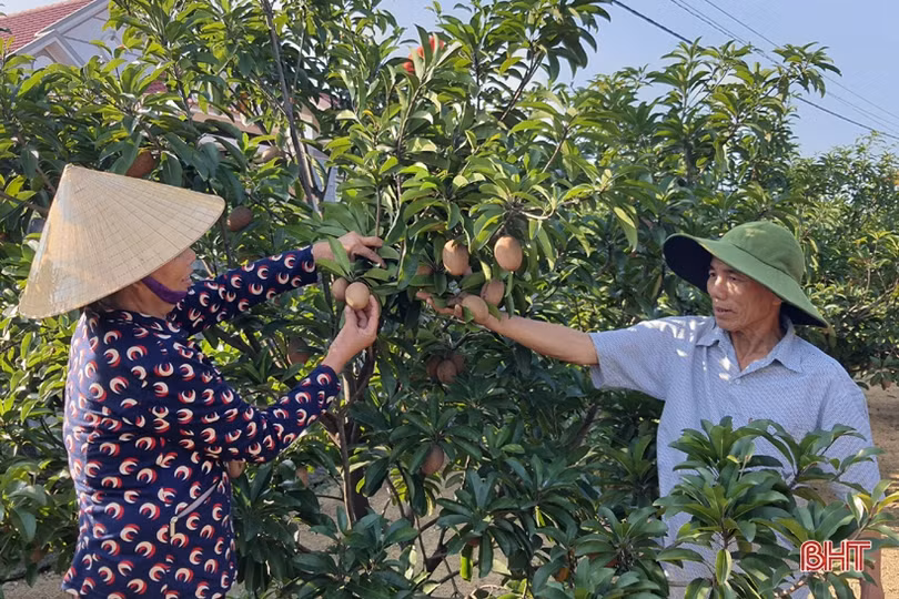 Người dân huyện Kỳ Anh hãnh diện khi được gắn biển “Nhà sạch vườn đẹp”