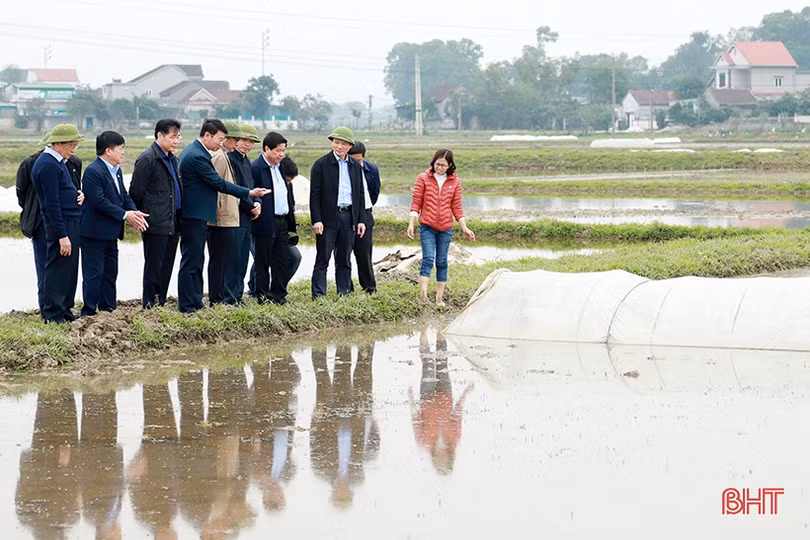 Hà Tĩnh khắc phục hậu quả lũ lụt và tổ chức sản xuất rất nhanh, hiệu quả