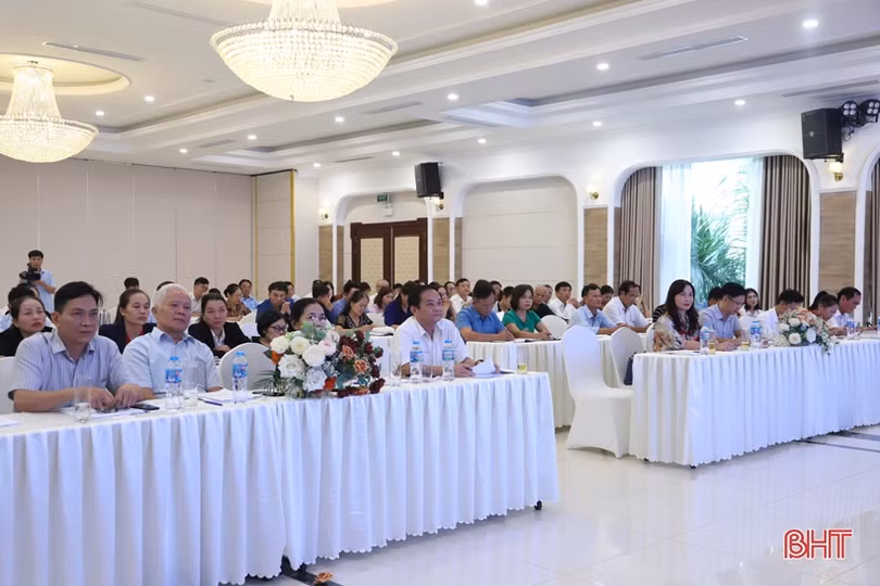 Trang bị kiến thức cho cán bộ bảo trợ người khuyết tật, trẻ mồ côi 