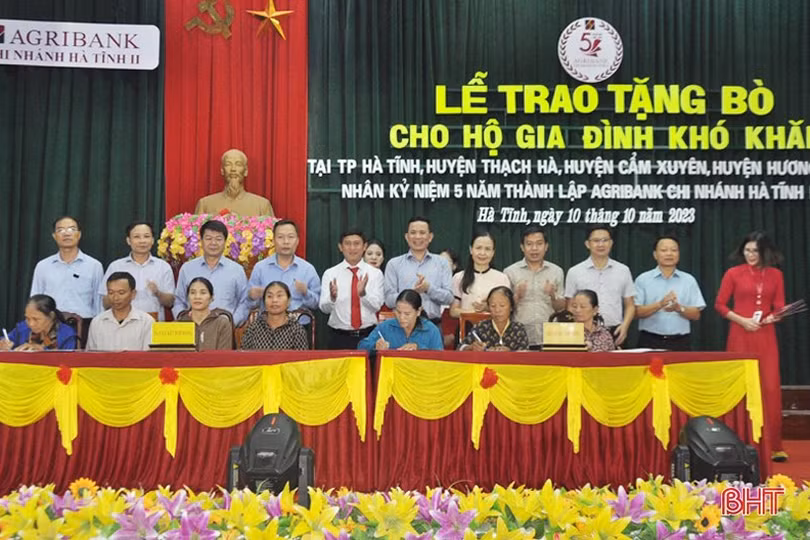 Agribank Hà Tĩnh II trao 43 con bò giống cho các hộ khó khăn