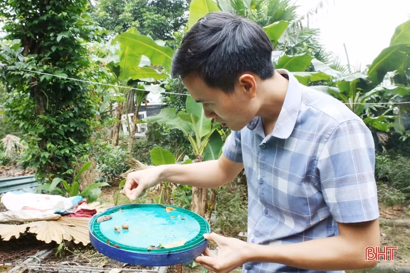 Hà Tĩnh không để bệnh truyền nhiễm bùng phát diện rộng
