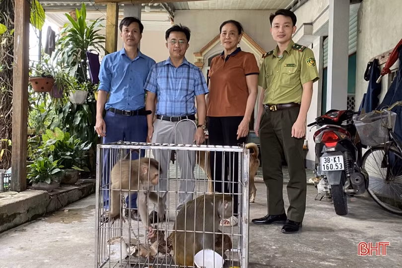 Bàn giao cá thể khỉ và trăn đất cho Vườn Quốc gia Vũ Quang