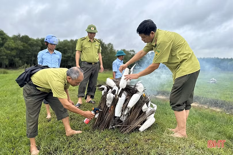 Công khai rao bán chim trời tràn lan trên “chợ mạng”