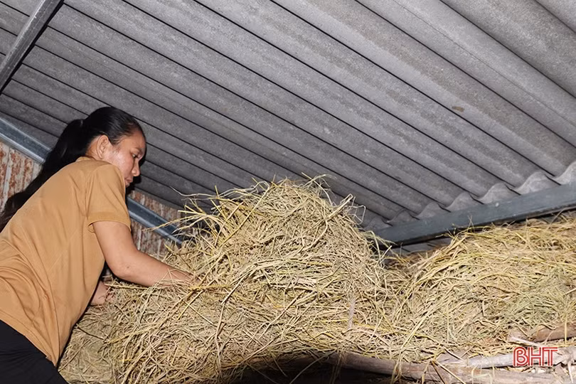 Người dân vùng lũ Vũ Quang chủ động ứng phó với mưa lớn