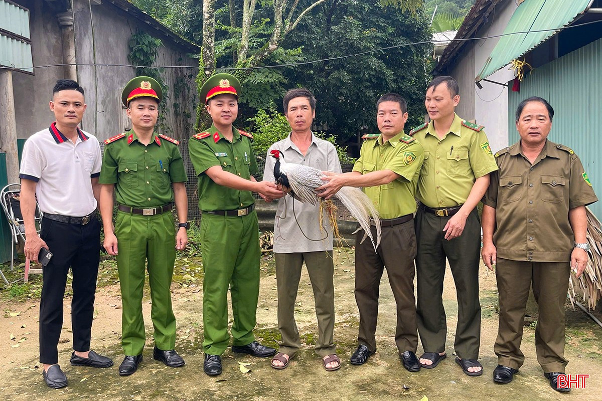 bqbht_br_ga-loi-6310.jpg