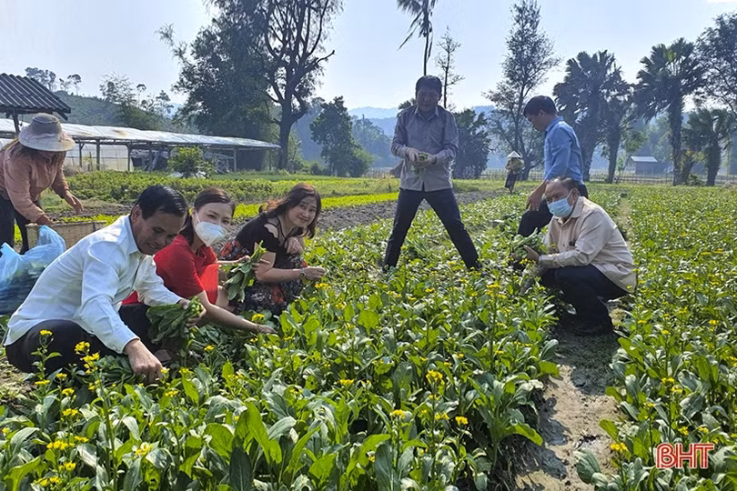 Phụ nữ Hà Tĩnh góp phần tô thắm thêm tình hữu nghị Việt - Lào
