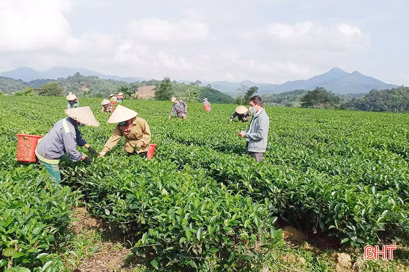 Xã biên giới Hương Sơn khởi sắc từ xây dựng nông thôn mới