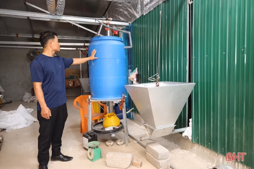 Thanh niên vùng giáo Hà Tĩnh phát triển chăn nuôi gà liên kết quy mô lớn