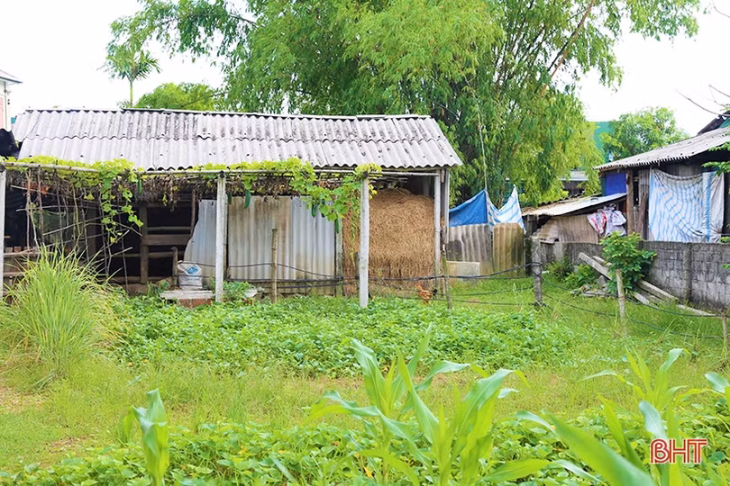 Ngành Thi hành án dân sự Thạch Hà giải quyết dứt điểm tranh chấp kéo dài