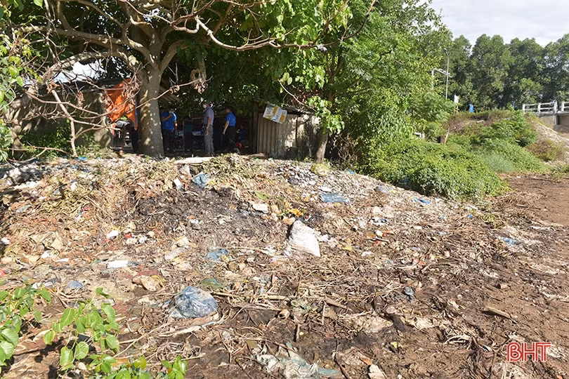 Vì môi trường xanh, thanh niên Thành Sen tích cực hành động