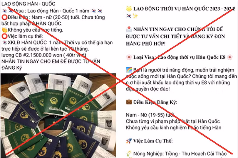 Tránh “bẫy” lừa đảo xuất khẩu lao động qua mạng thế nào?