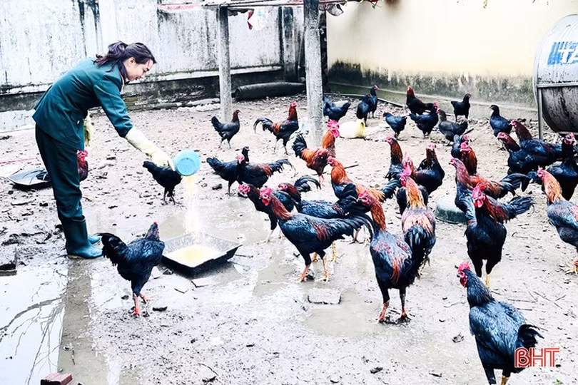 Thực phẩm tươi ngon cho bộ đội ăn tết