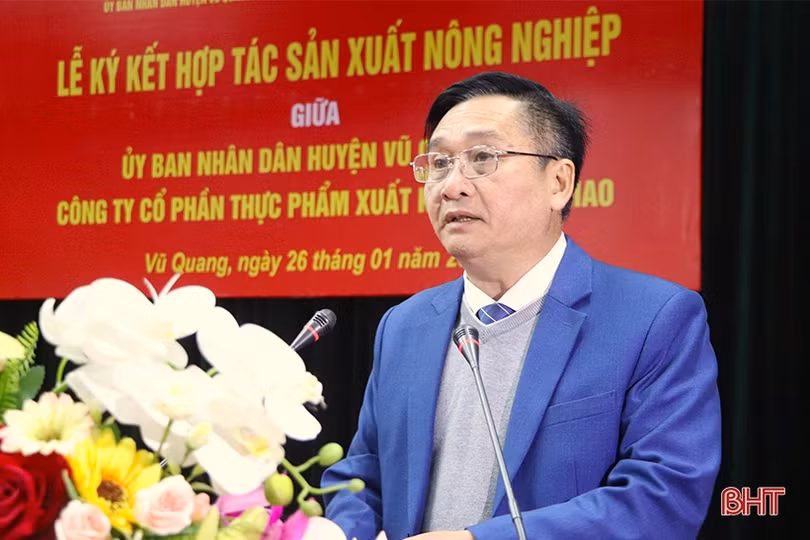 Hợp tác trồng dứa Cayen, ngô ngọt trên địa bàn Vũ Quang