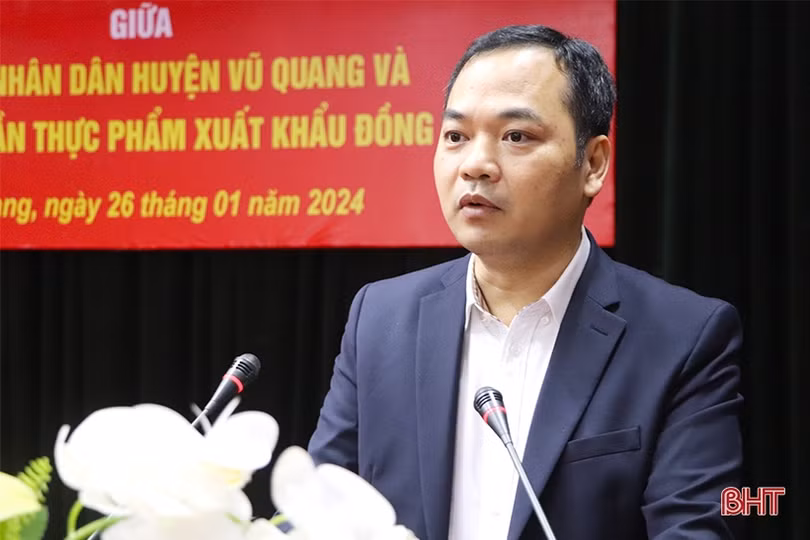 Hợp tác trồng dứa Cayen, ngô ngọt trên địa bàn Vũ Quang