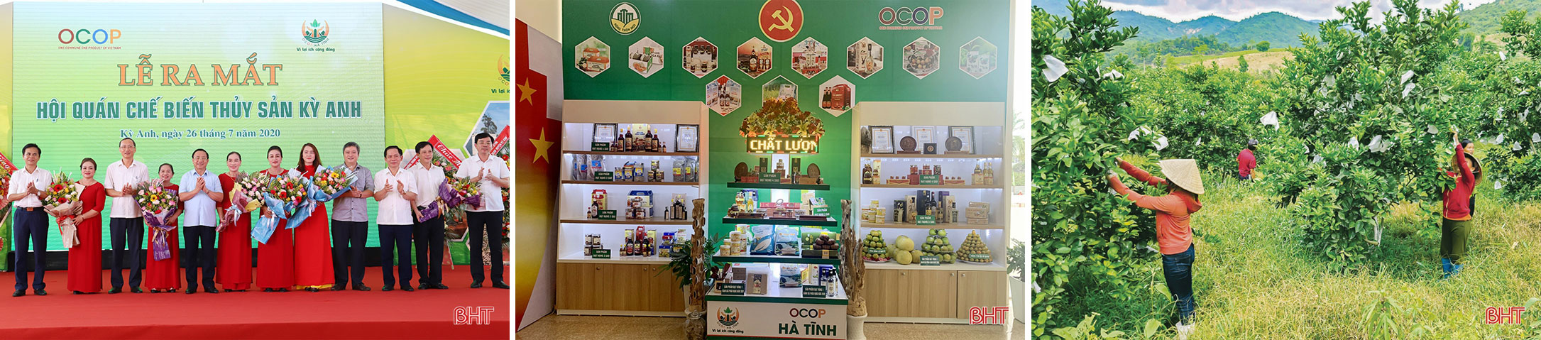 Hà Tĩnh đẩy lùi khó khăn, nhanh chóng lấy lại đà tăng trưởng