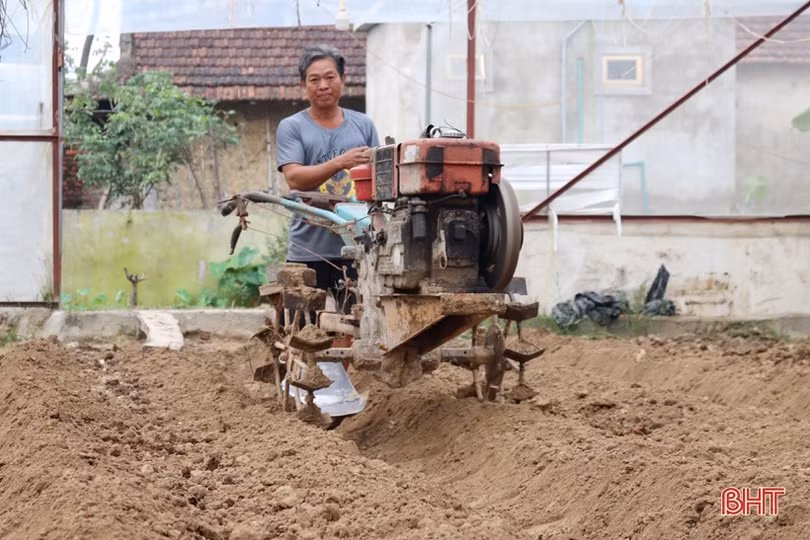 Vựa hoa Hà Tĩnh tất bật hướng về tết