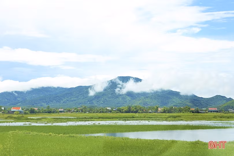 Bảo vệ động vật hoang dã ở Hà Tĩnh, chuyện không của riêng ai