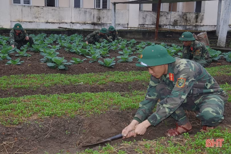Chăm tăng gia sản xuất, đảm bảo sức khỏe cho bộ đội