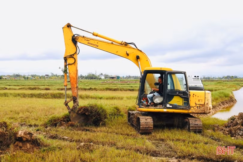 Nông dân Thạch Hạ ra quân hình thành vùng sản xuất quy mô lớn