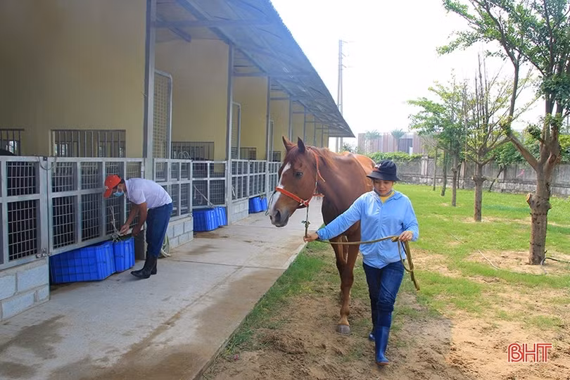 Ngành Du lịch Hà Tĩnh thiếu hơn 3.000 vị trí việc làm
