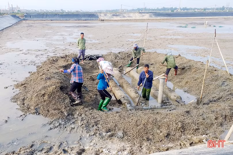 2 sản phẩm chủ lực trong nuôi trồng thủy sản ở Lộc Hà