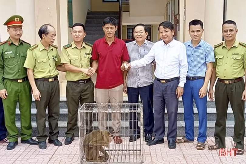 Bảo vệ động vật hoang dã ở Hà Tĩnh, chuyện không của riêng ai