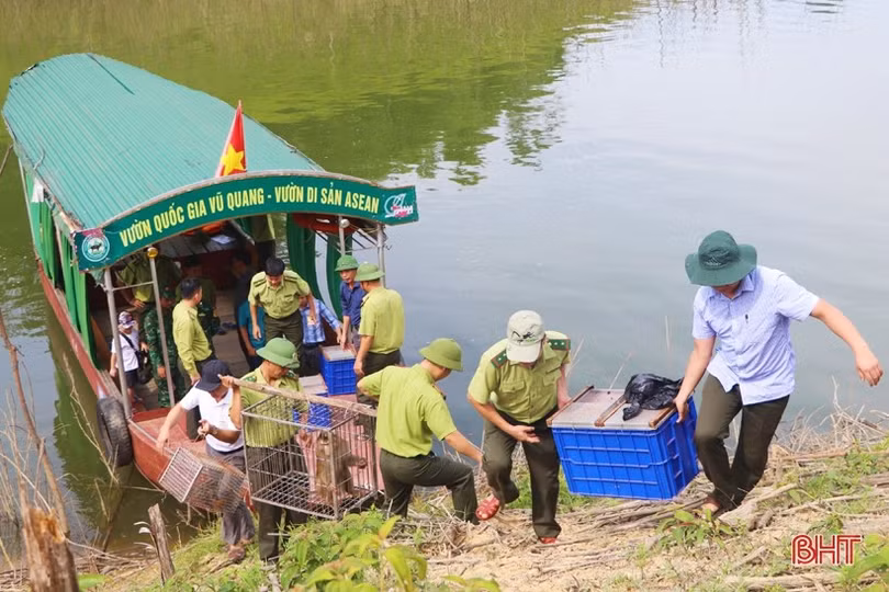 Bảo vệ động vật hoang dã ở Hà Tĩnh, chuyện không của riêng ai