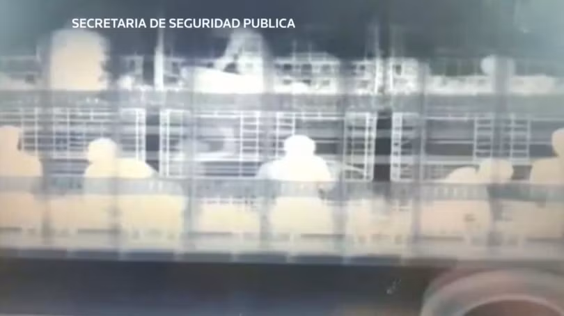 Mexico sử dụng máy quét tia X khổng lồ phát hiện người nhập cư trái phép