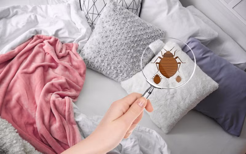 Cảnh báo những thói quen đang “ăn mòn” sức khỏe của bạn mỗi ngày