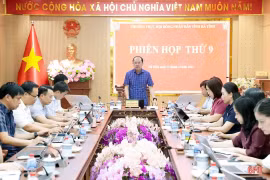 Rà soát kỹ lưỡng các nội dung trình Kỳ họp HĐND tỉnh sắp tới