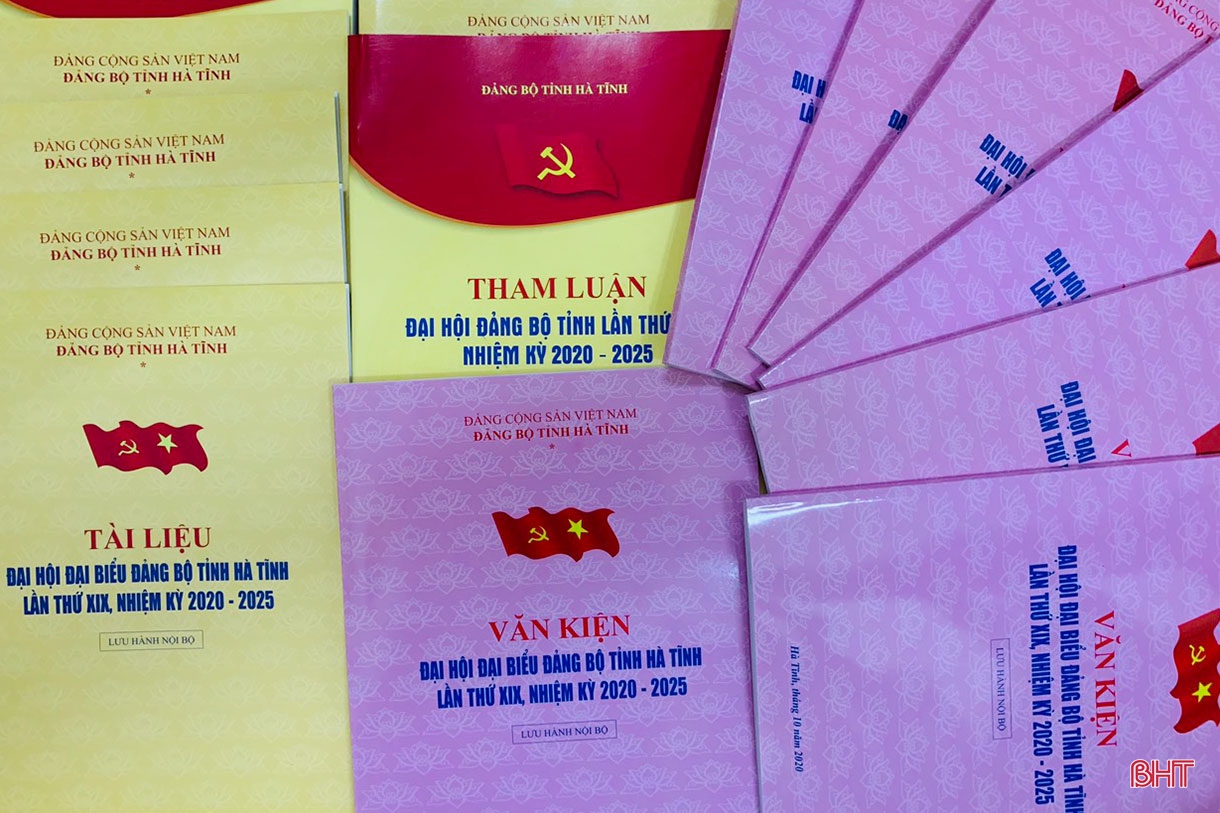 Đoàn kết, dân chủ, xây dựng Đảng trong sạch vững mạnh, phấn đấu đưa Hà Tĩnh sớm trở thành tỉnh phát triển khá của cả nước