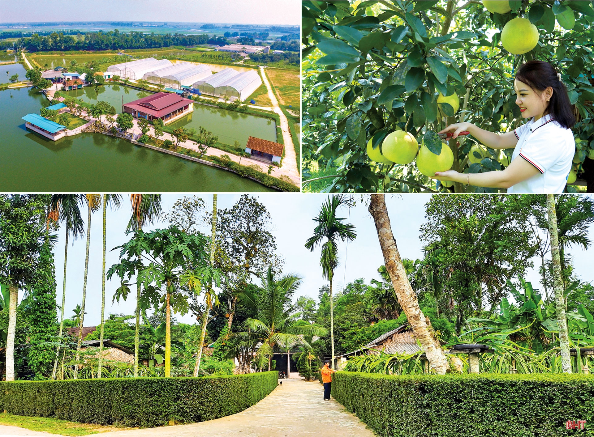 Đoàn kết, dân chủ, xây dựng Đảng trong sạch vững mạnh, phấn đấu đưa Hà Tĩnh sớm trở thành tỉnh phát triển khá của cả nước