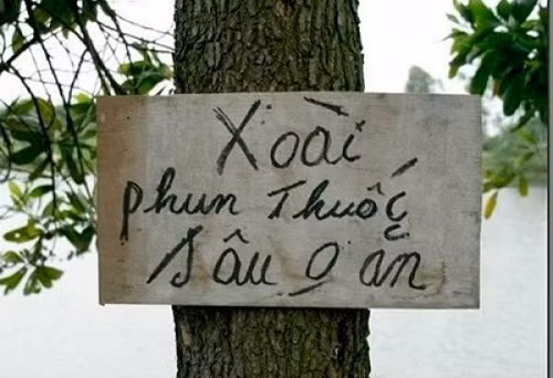 1 001 cach chong trom trai cay doc nhat vo nhi tai viet nam