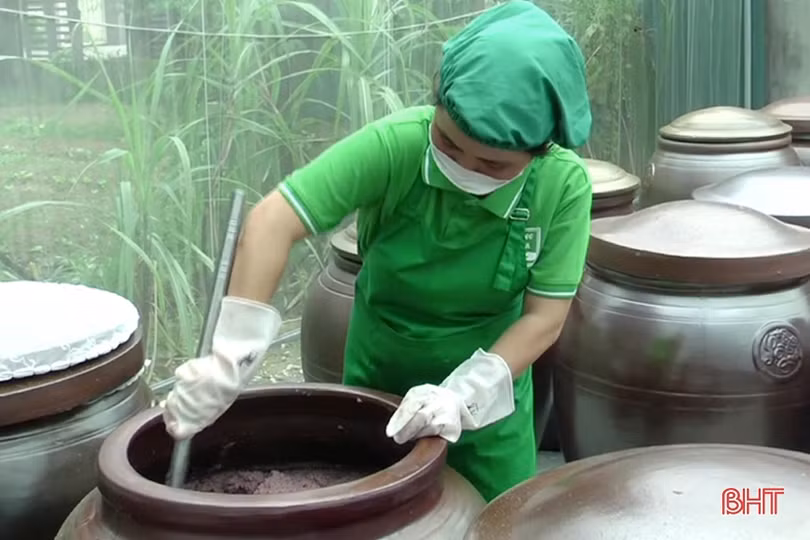 Mắm tôm Làng xưa - sản phẩm OCOP mang đậm vị biển Lộc Hà