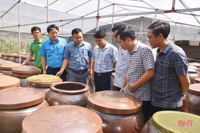 Mắm tôm Làng xưa - sản phẩm OCOP mang đậm vị biển Lộc Hà