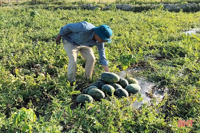 TP Hà Tĩnh chủ trương không tổ chức hội nông dân các phường nội thành