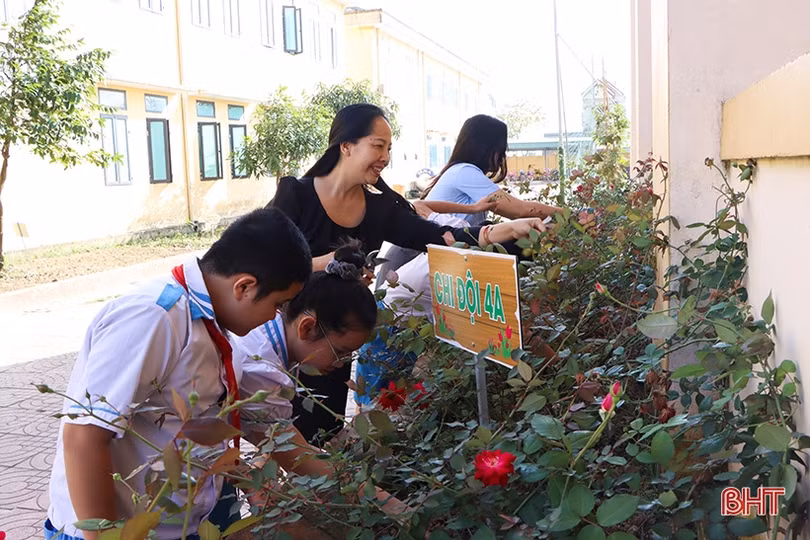 Vườn rau, hoa trong trường học ở TP Hà Tĩnh - không chỉ là cảnh quan