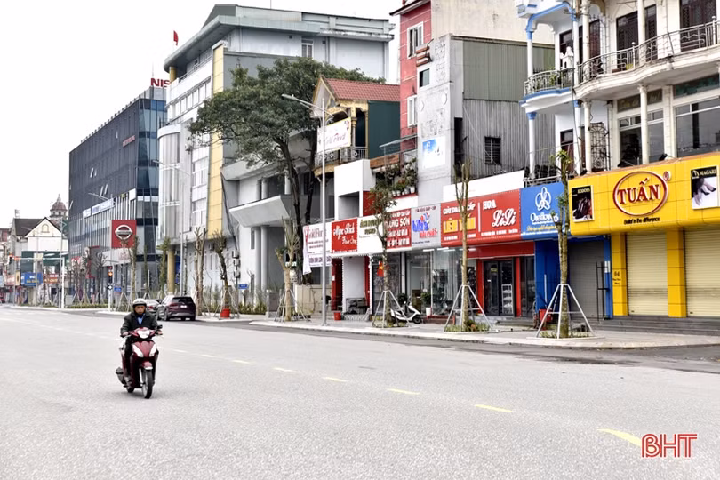 Thành Sen thanh bình ngày đầu năm mới