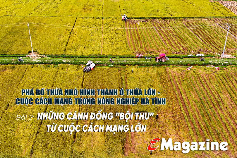 Hà Tĩnh cùng các tỉnh Bắc Trung Bộ kết nối, đưa sản phẩm kinh tế tập thể thành hàng hóa liên vùng