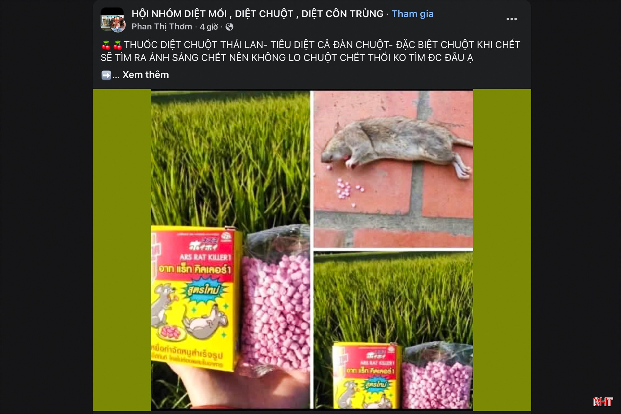 bqbht_br_9.jpg