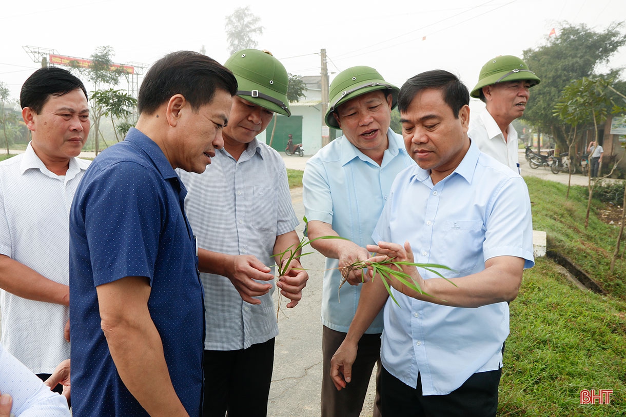 Cẩm Xuyên tạo đột phá về du lịch, dịch vụ, sớm thành huyện nông thôn mới nâng cao