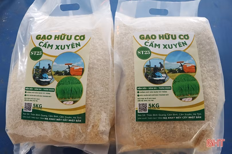 Tạo đà xây dựng thương hiệu “Gạo hữu cơ Cẩm Xuyên ST25”