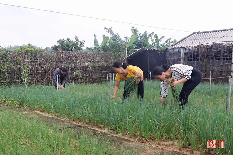Trao cơ hội giúp hội viên phụ nữ Can Lộc thoát nghèo